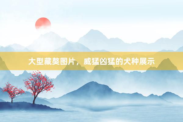 大型藏獒图片，威猛凶猛的犬种展示