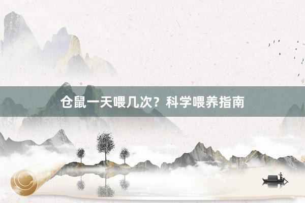 仓鼠一天喂几次？科学喂养指南