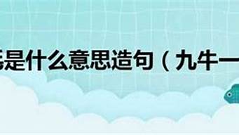 九牛一毛造句一年级简单的_九牛一毛造句小