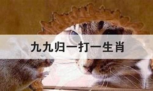 九九归一打一生肖是什么动物猴啊_九九归一指的什么生肖