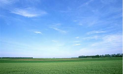 天高地阔造句四年级下册_天高地阔