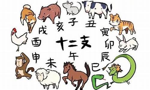 锁头是猜一生肖_锁头打一生肖是兔