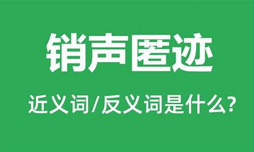 销声匿迹是什么意思解释词语有哪些_销声匿迹的意思是什么?