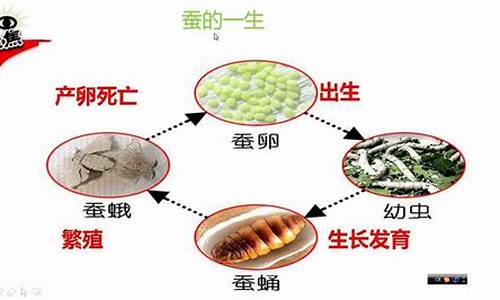 独断专行的动物打一生肖有哪些_独断专行猜