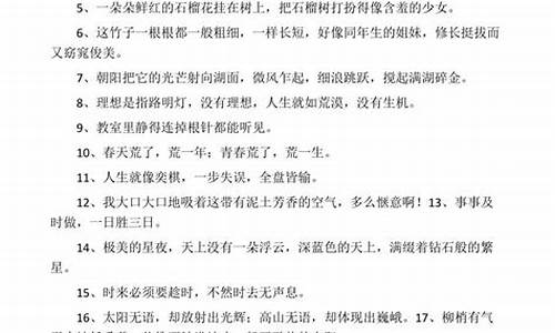 略胜一筹造句子简短一点四年级_略胜一筹造句子简短一点四年级下册