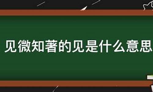 见微知著什么意思_成语见微知著什么意思